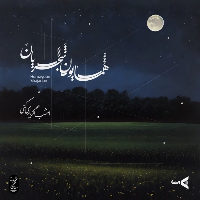 دانلود آهنگ امشب اگر یاری کنی